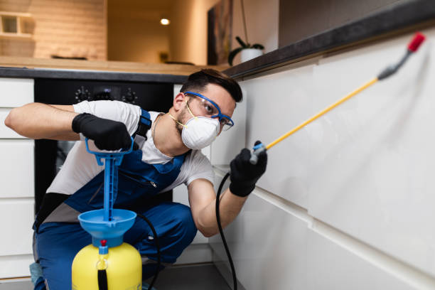 Best Affordable Pest Control Services  in Summit, IL