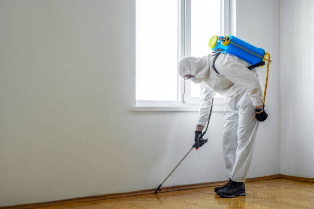 Best Cockroach Control Services  in Summit, IL