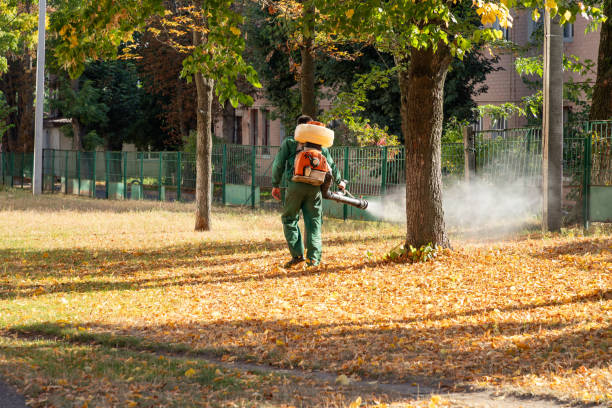 Best Pest Prevention Services  in Summit, IL