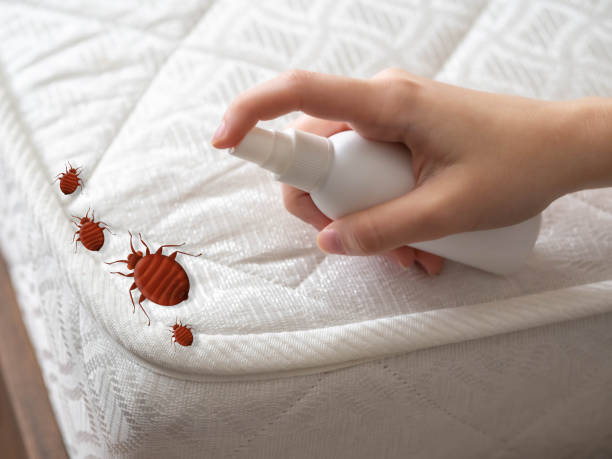 Best Flea Control Services  in Summit, IL