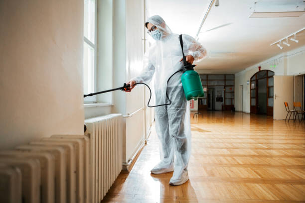Best Affordable Pest Control Services  in Summit, IL