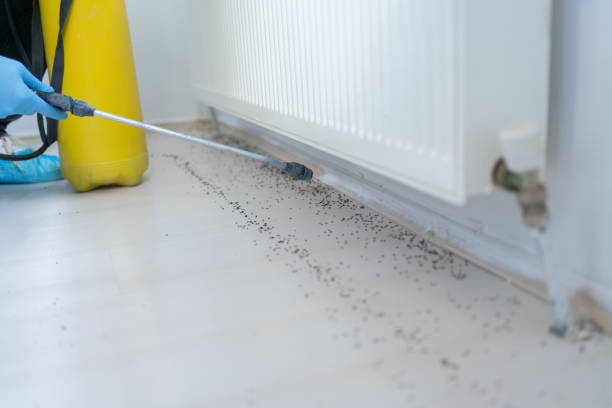 Best Pest Removal Services  in Summit, IL