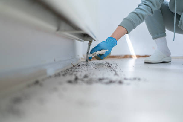 Best Best Pest Control Companies  in Summit, IL