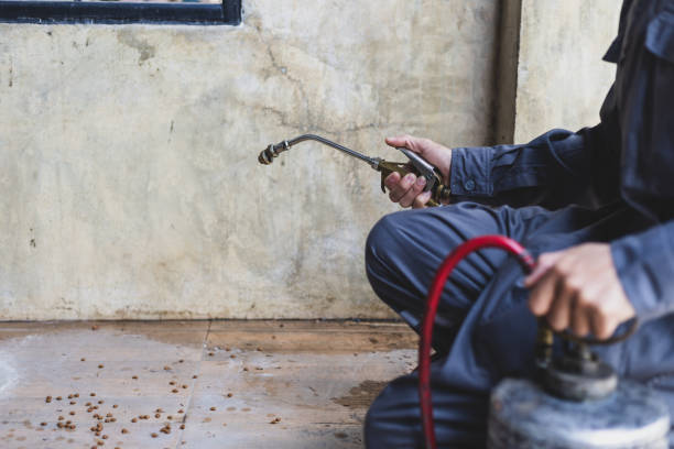 Best Pest Control Near Me in Summit, IL