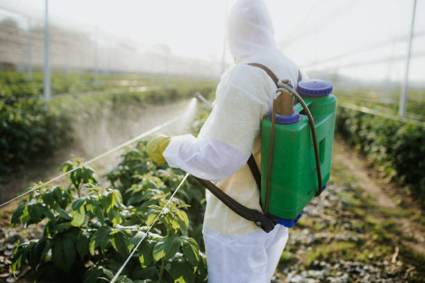 Best Emergency Pest Control  in Summit, IL